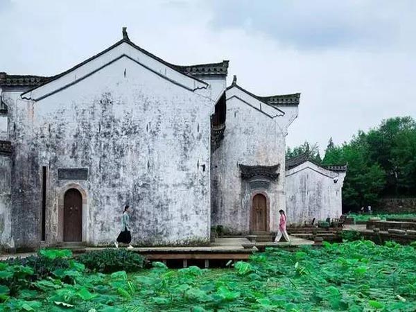 澍德堂民宿裝修案例賞析中式設(shè)計效果圖